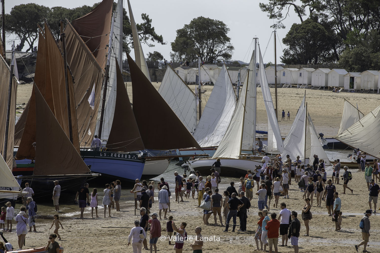Regates Du Bois De La Chaize 2022