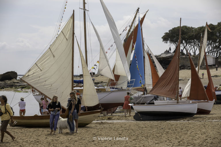 Regates Du Bois De La Chaize 2022